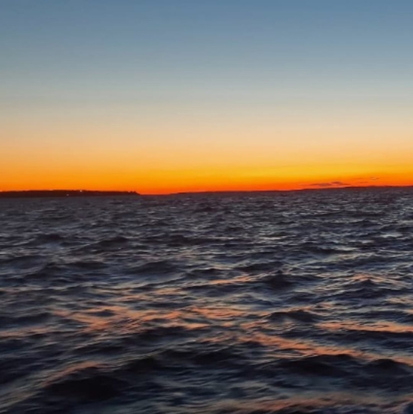 Meet your Posher, Derek - Picture 1 of 1